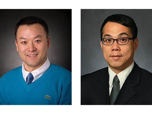 Yong Wang and Pak Kin Wong