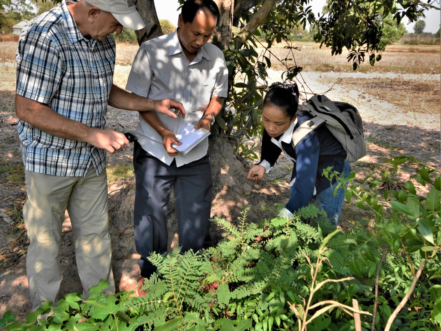 Wild foods project Cambodia one