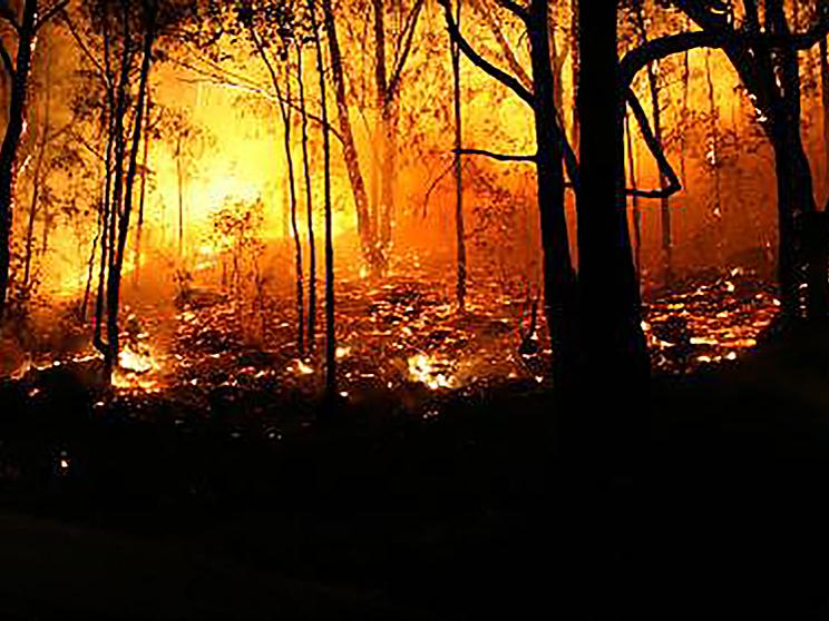 wildfire Oregon State