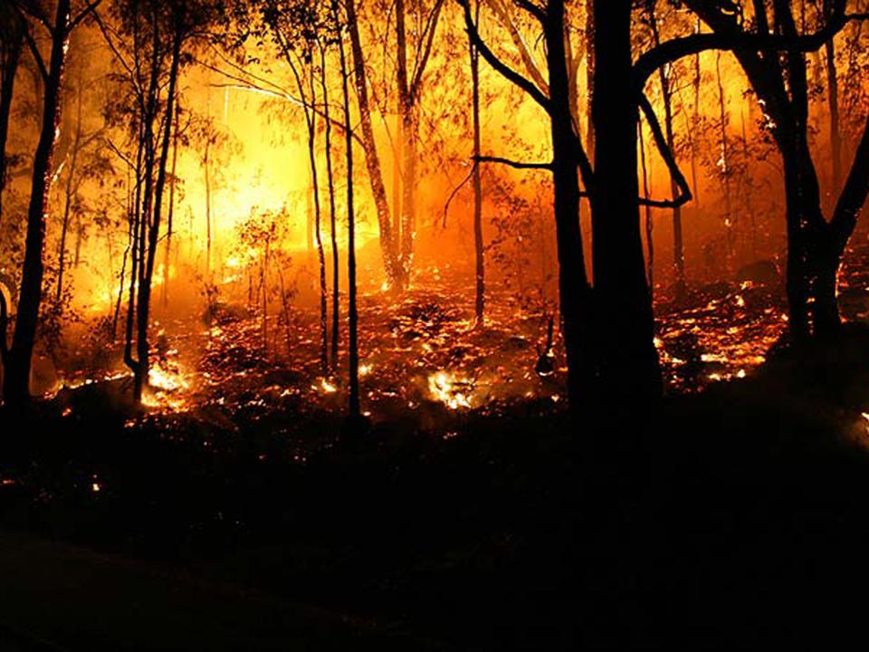 wildfire U.S. Forest Service