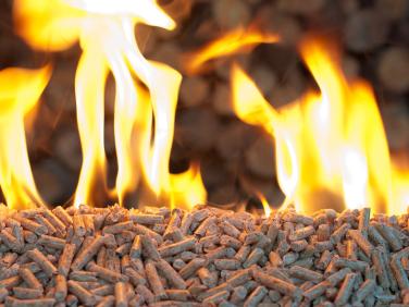 wodd pellets burning