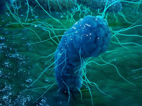 An abstract graphic of a bacterial cell with green lines protruding from it on a blue and green background. 