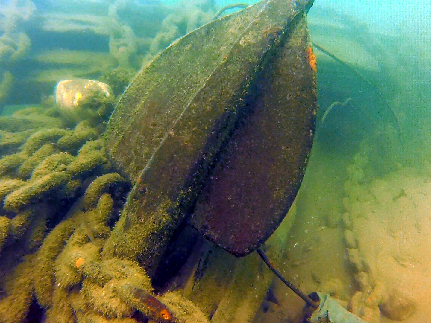 An underwater photo of a Lake Erie shipwreck