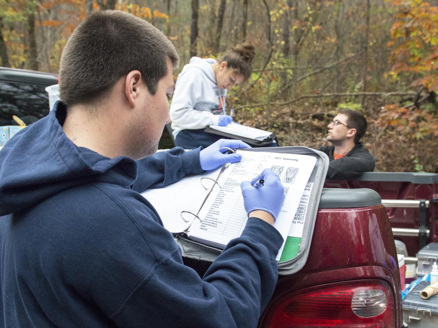 Stone Valley research