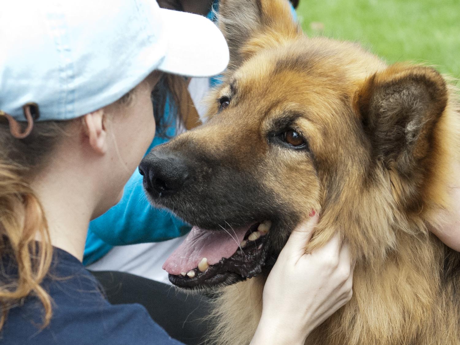 Student spending time with dog