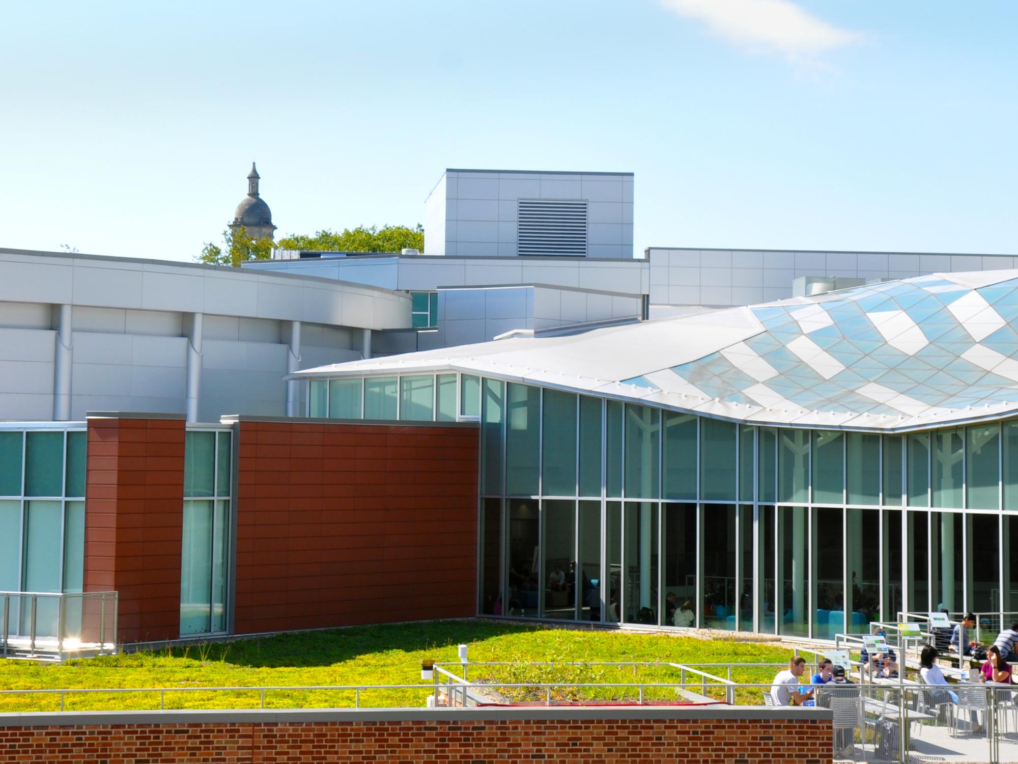 HUB green roof
