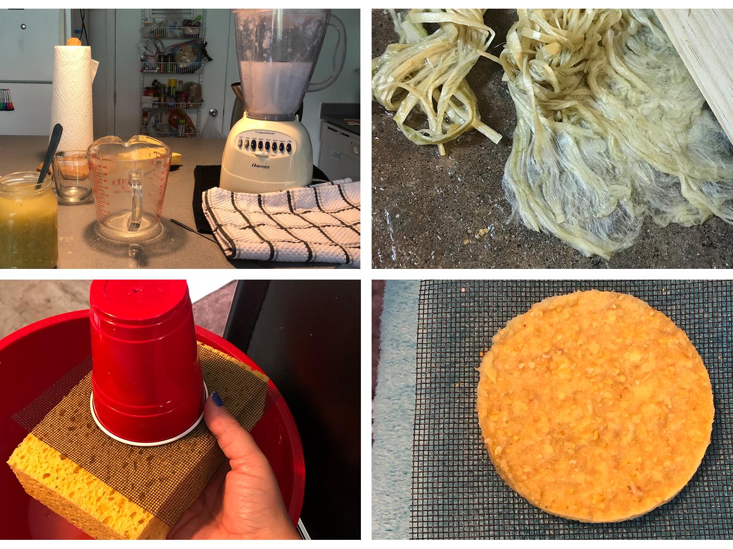 collage of four images showing kitchen blender holding wet paper pulp, mashed strips of thin light bark, sponge, plastic cup, piece of window screening and circle of homemade paper