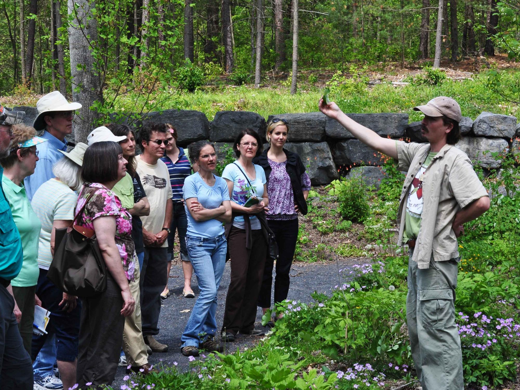 Visitors listen to walk leader talk about plants.
