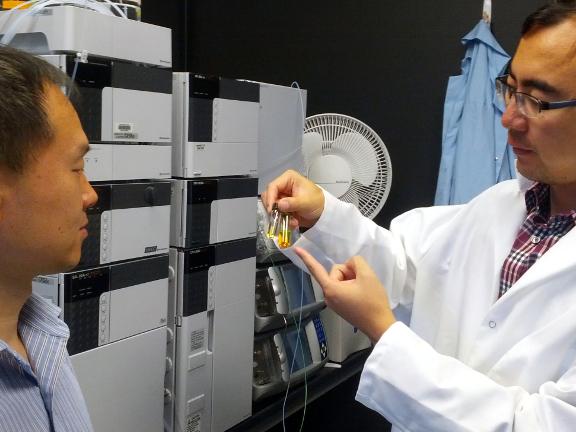Jian Yang and Zhiwei Xie discuss the fluorescent polymers they are developing in the Yang lab.