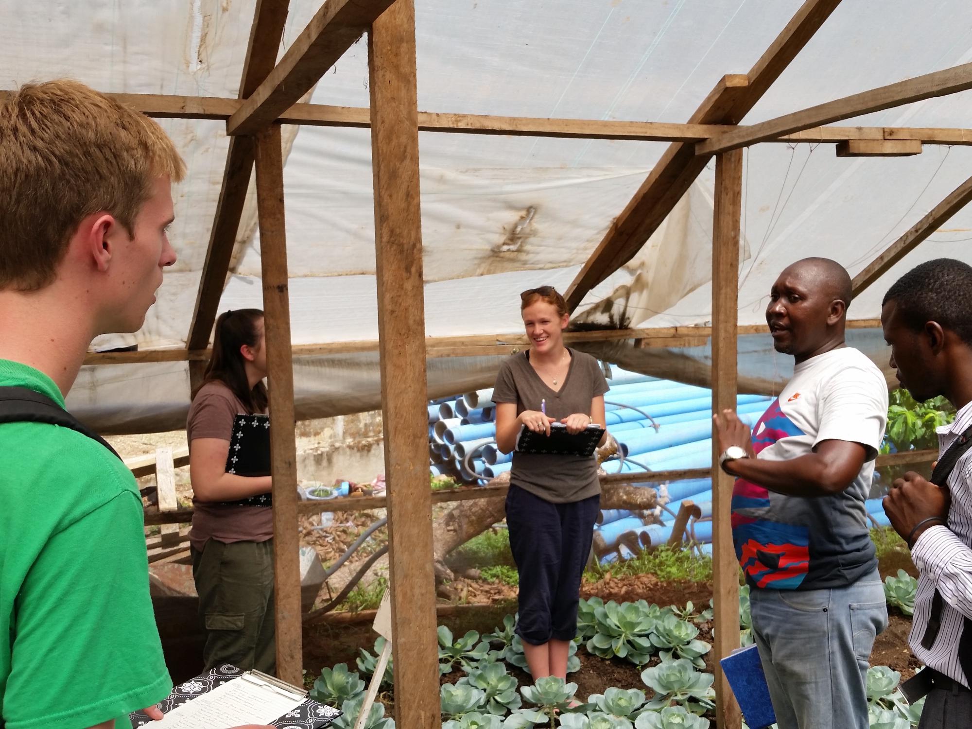 Students gather in the greenhouse. 