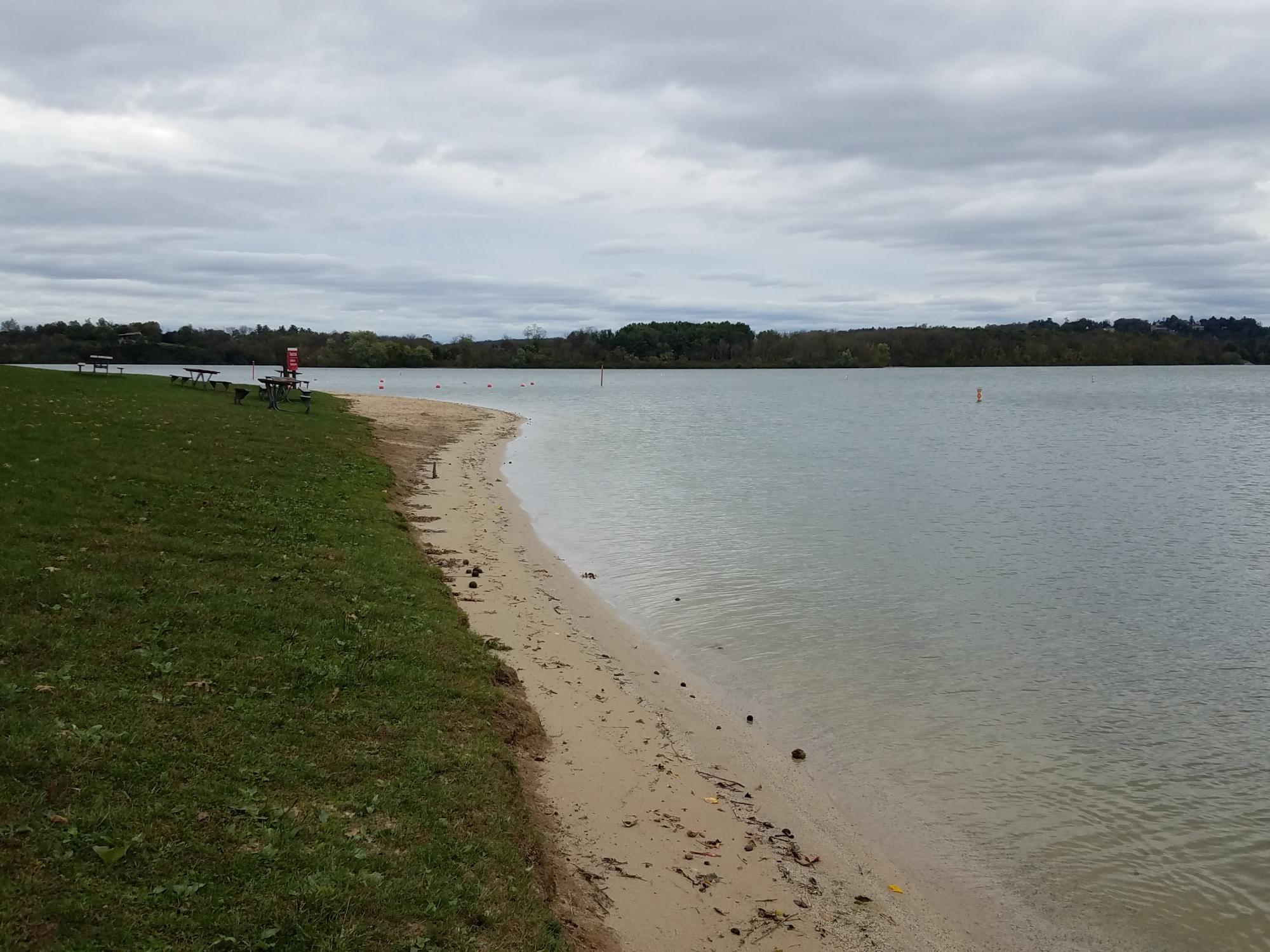 view of shoreline and artificial lake