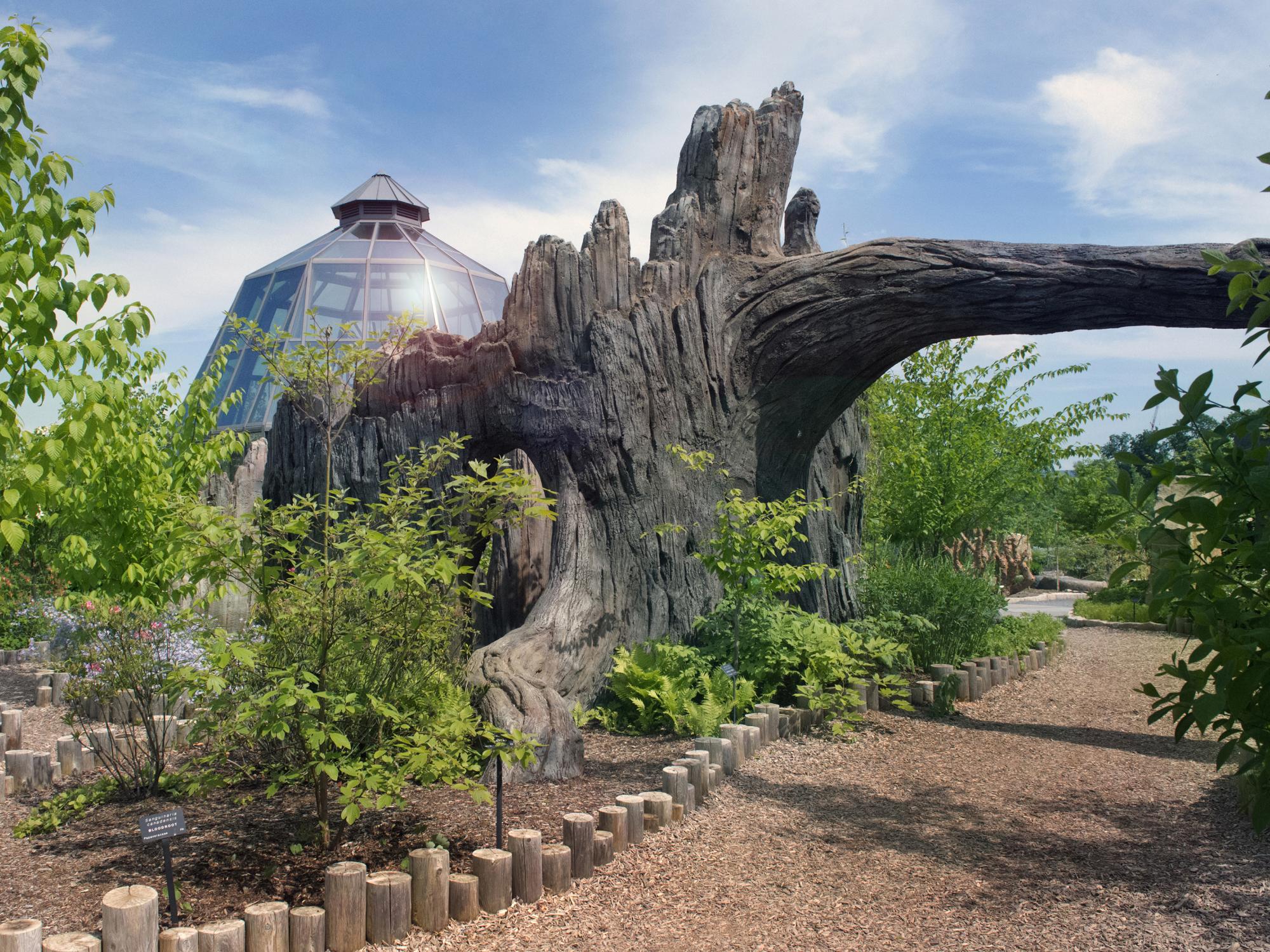 Arboretum