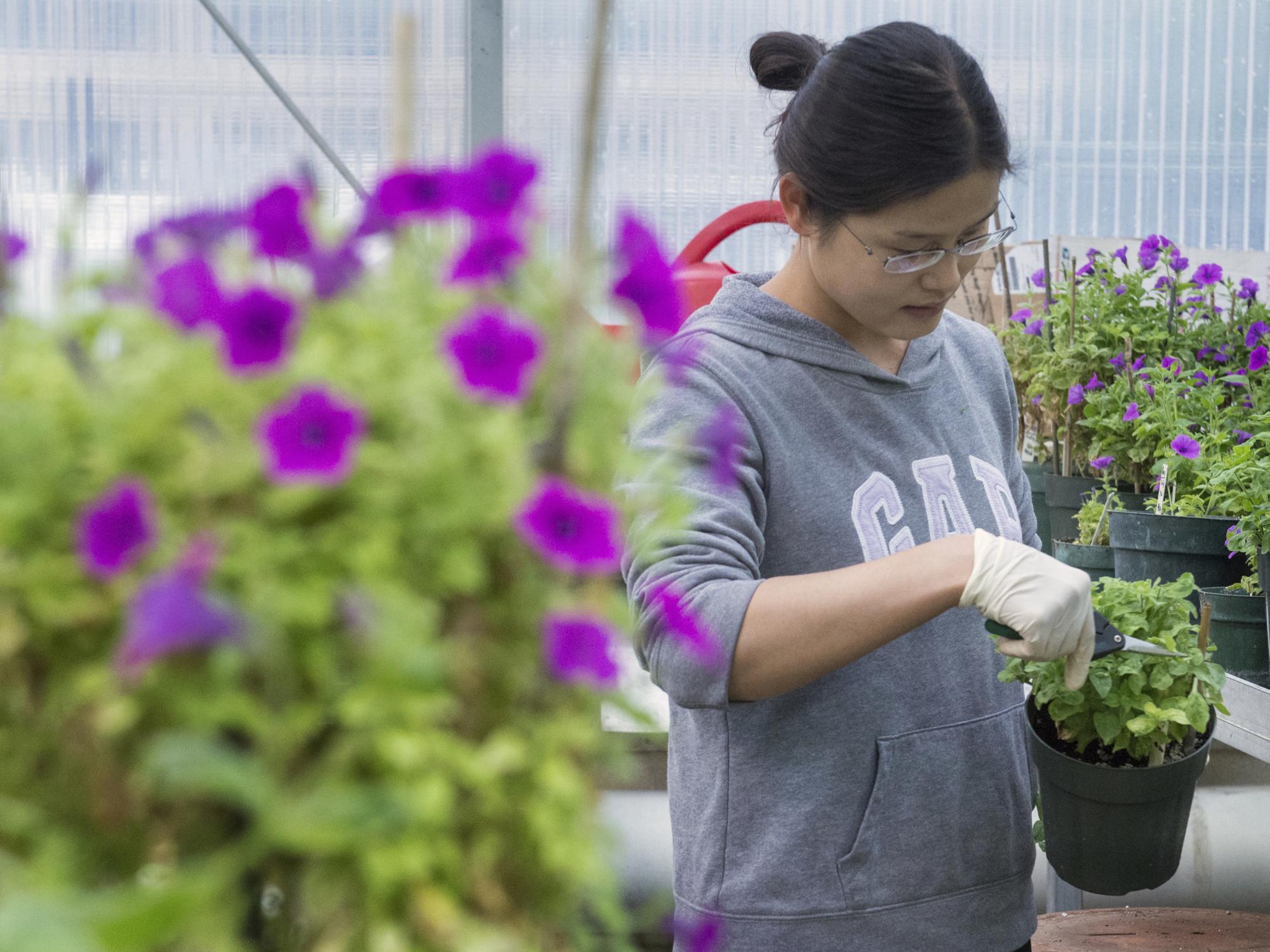 plant pathology