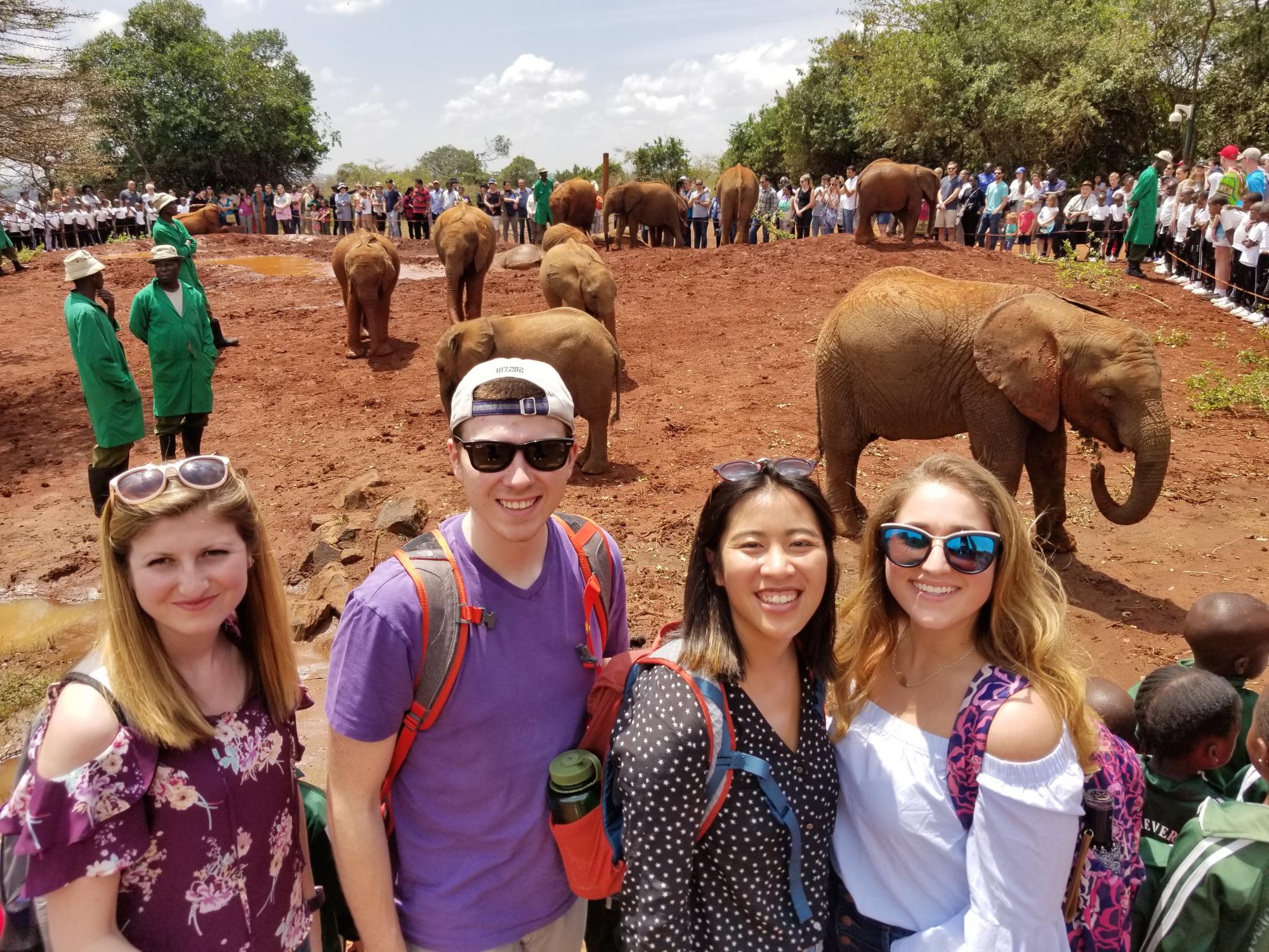Four Penn State students stand in front of elephants in Nairobi