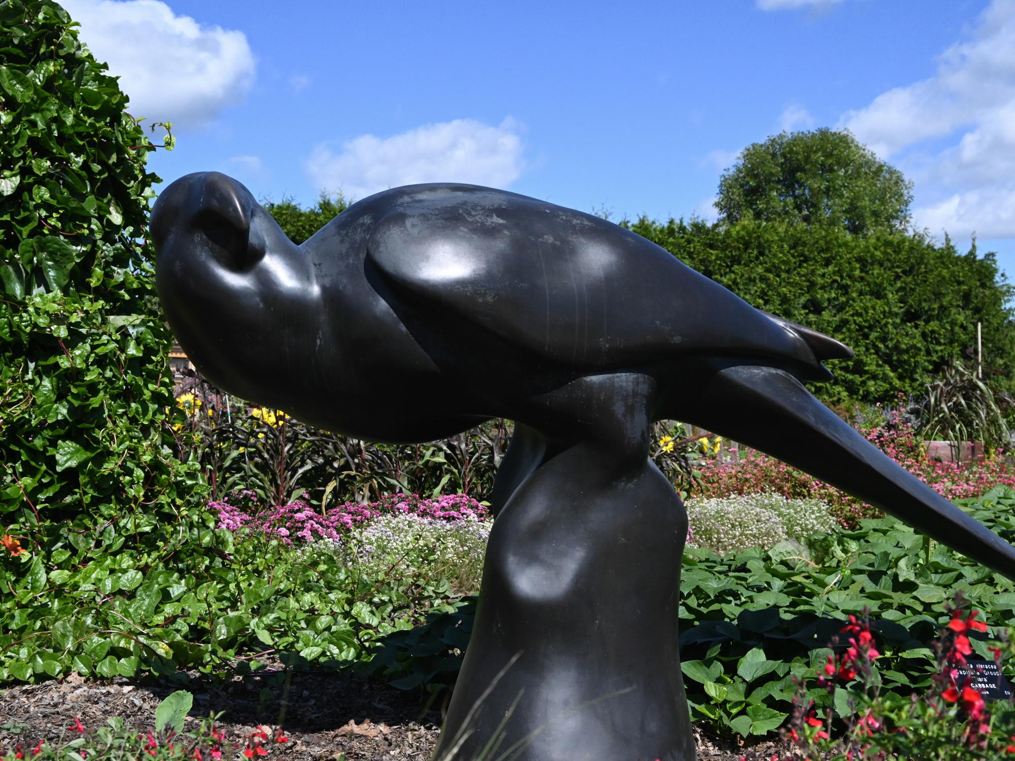 Carolina Parakeet statue