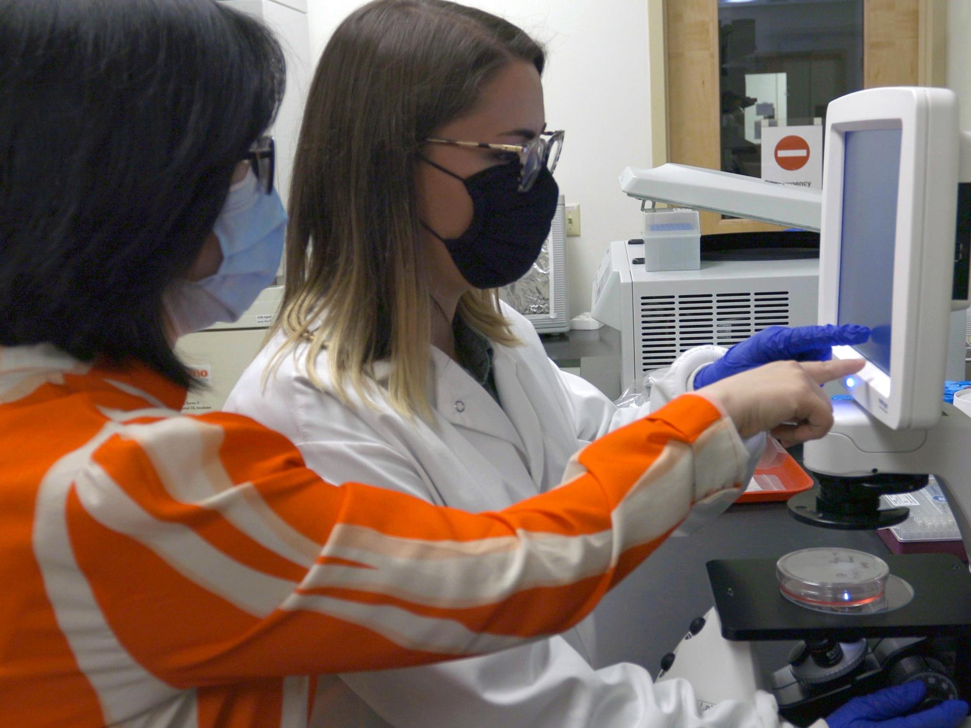Lu Bai, associate professor of biochemistry and molecular biology and of physics (left), and Holly Kleinschmidt, a graduate student in Bai’s lab, inspect lung cancer cells under a microscope.