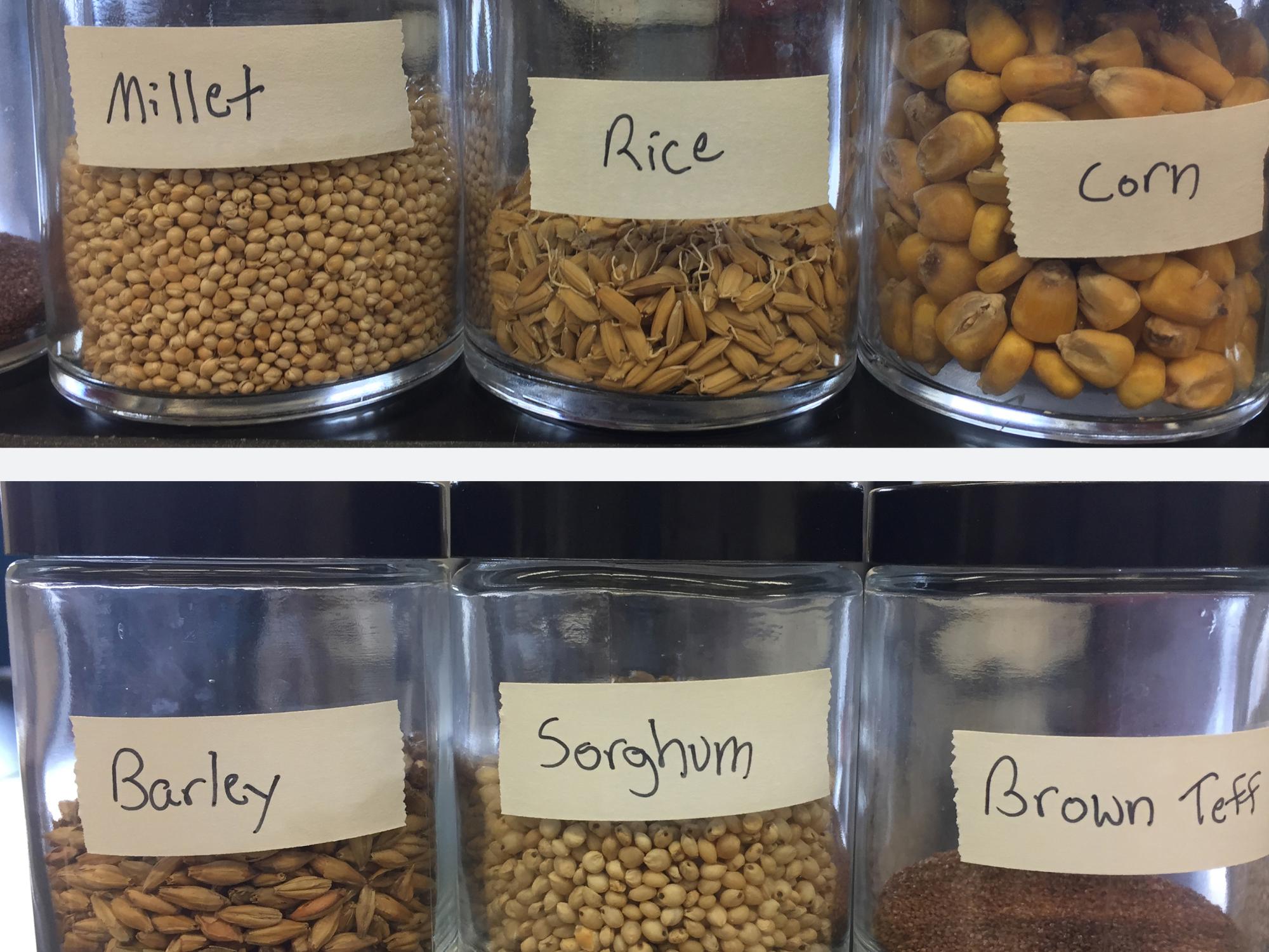 jars of grains
