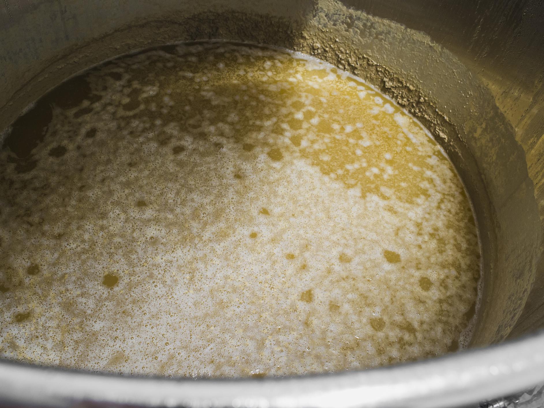 beer mash