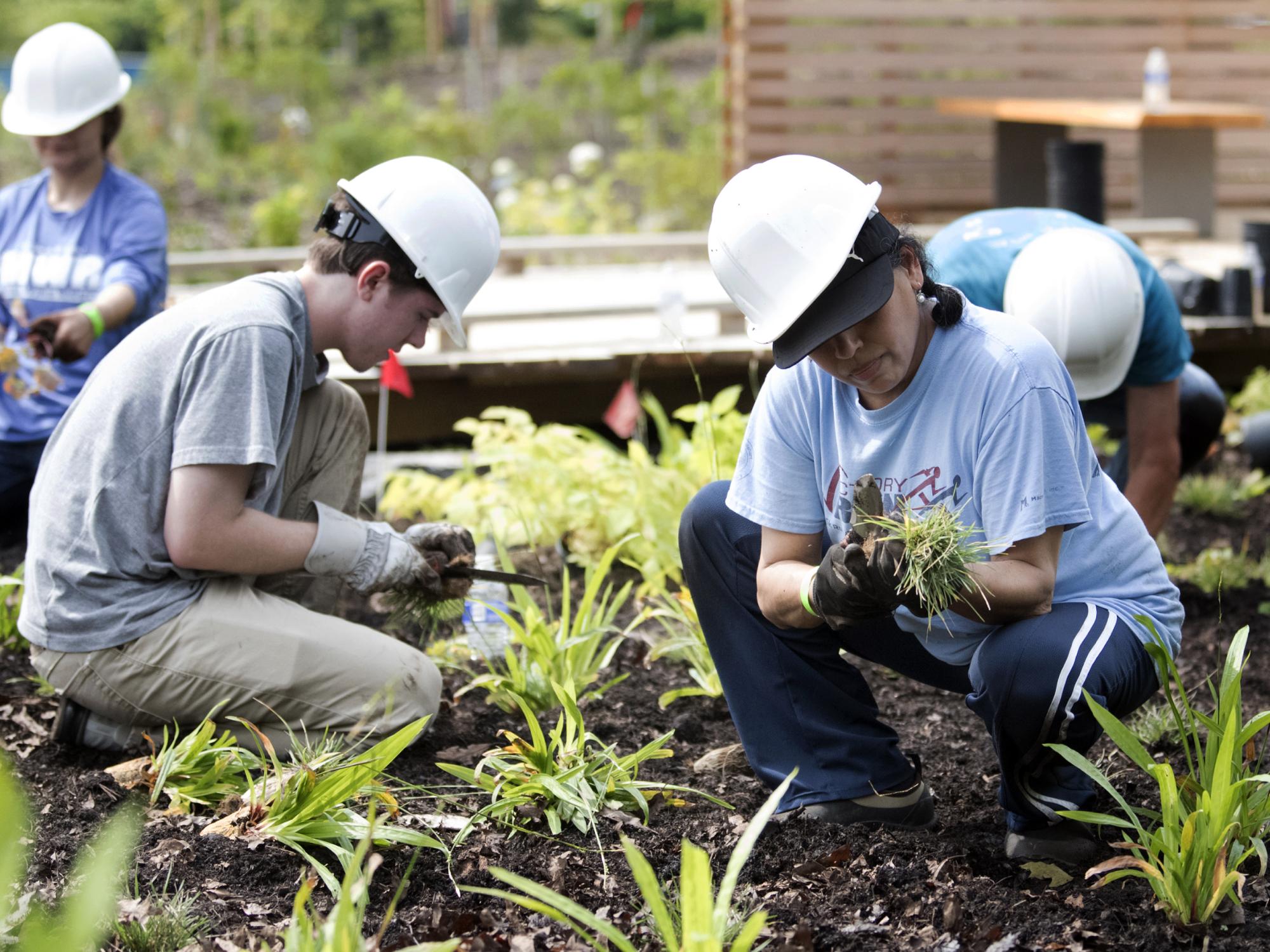 Volunteers at the Pollinator Garden