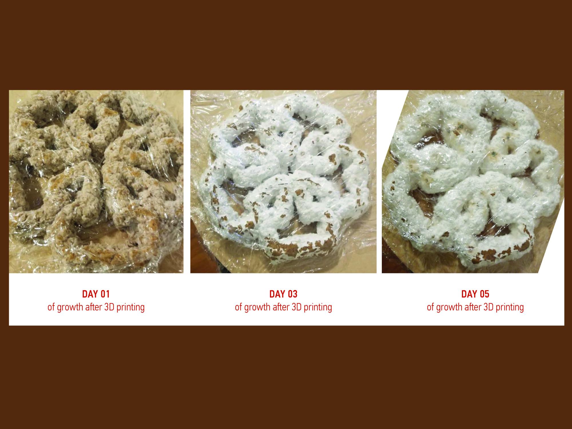 A fungus-based composite is shown growing over three days in three separate images.