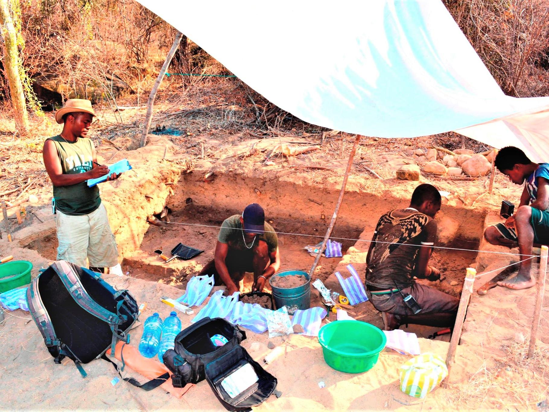 A team of Malagasy researchers excavating a site near Ankilivalo, Madagascar.
