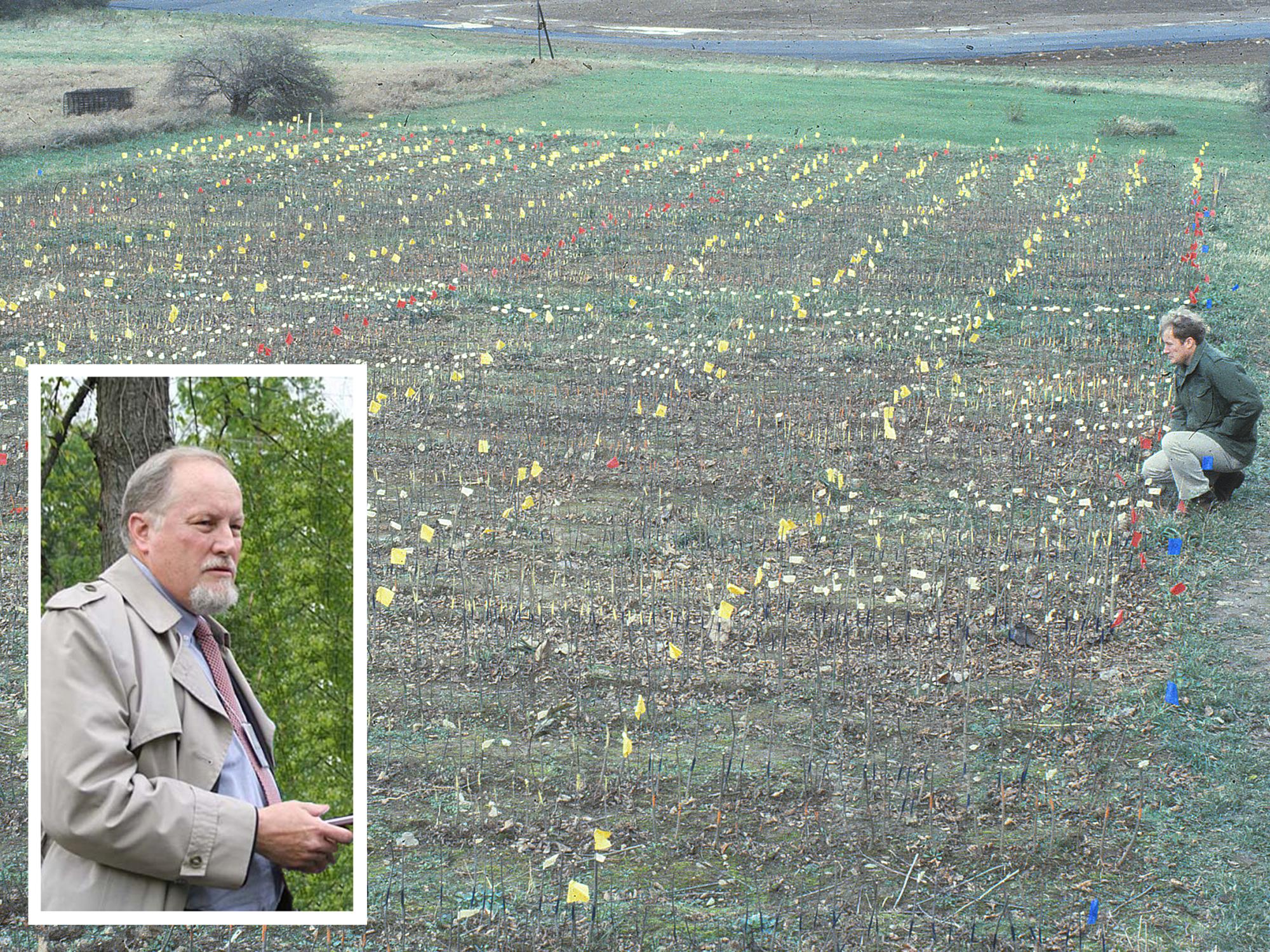 provenance trial