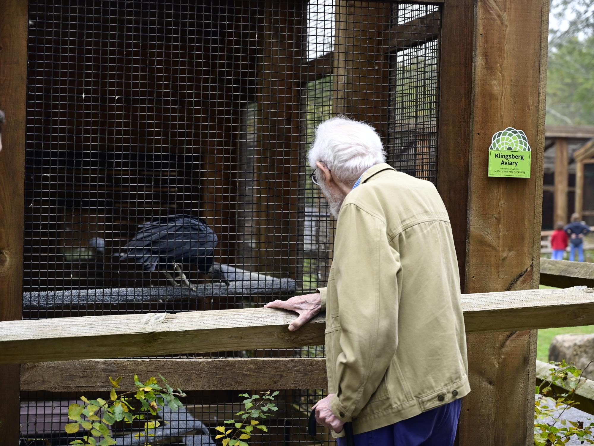 Cyrus Klingsberg visiting Matilda, a black vulture