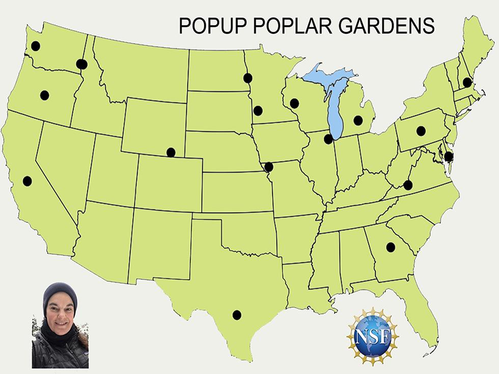 revised map