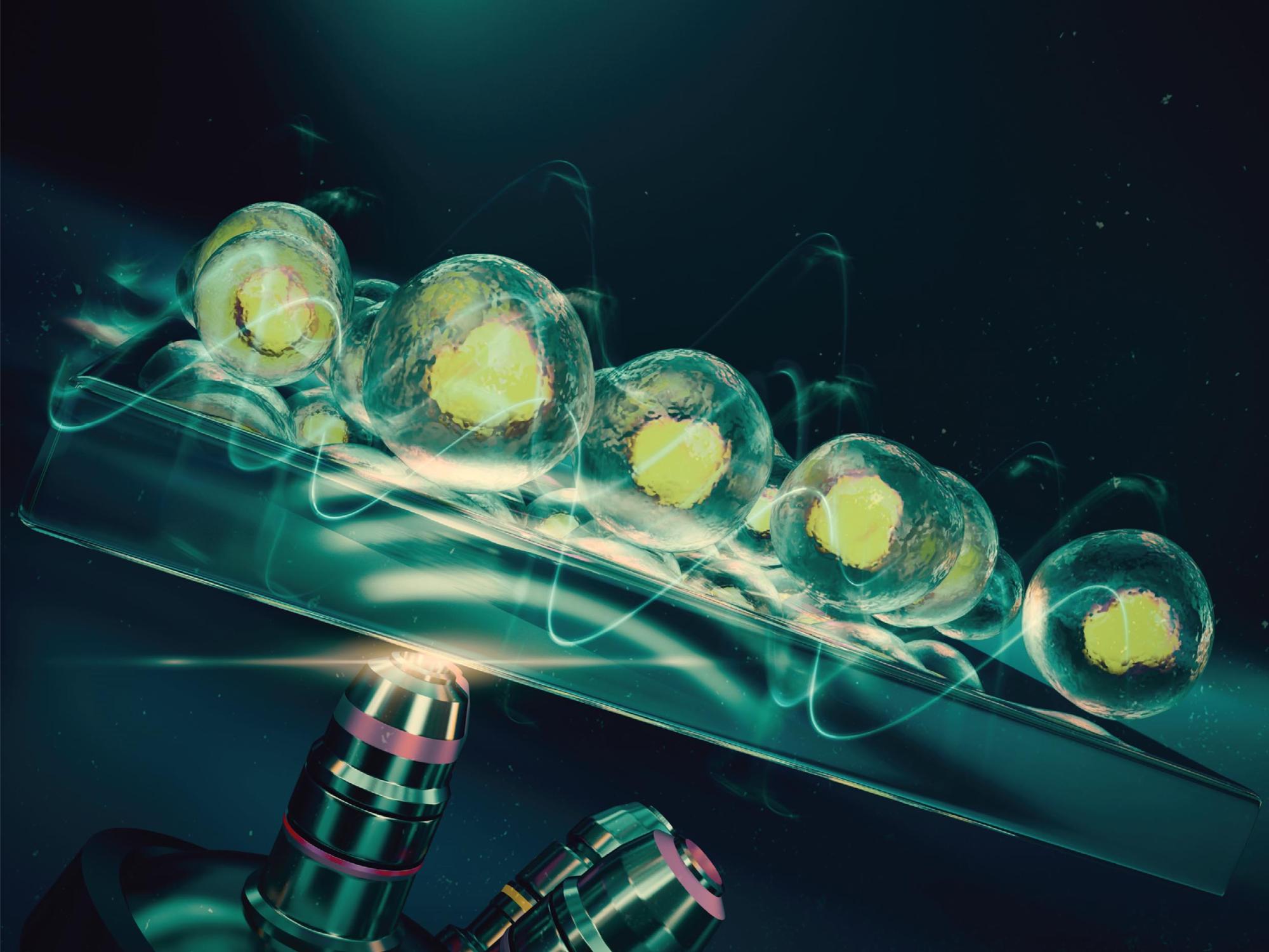 An abstract image of cells on a platform with a microscope underneath it. 