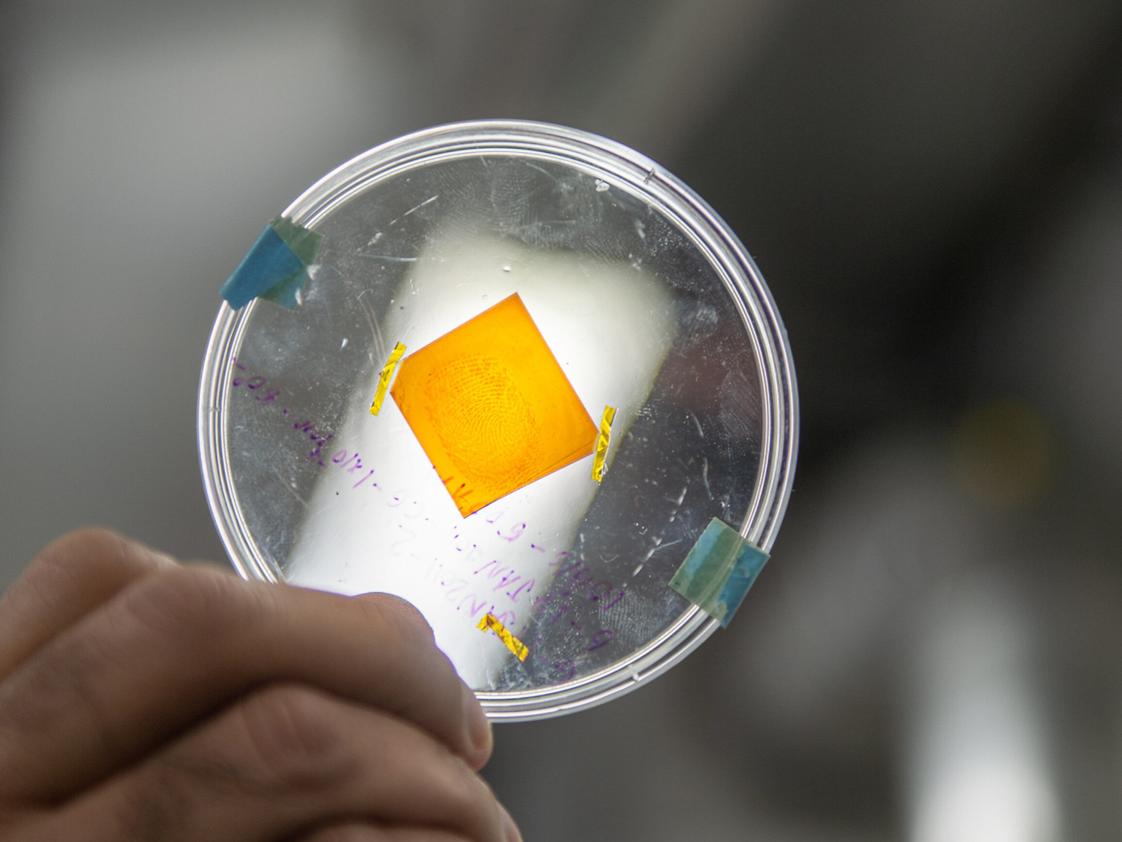 A hand holds a petri dish containing an orange material that has been marked with a fingerprint.