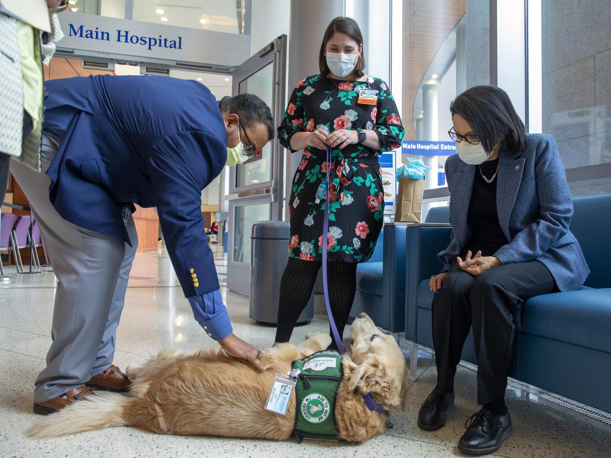 A man leans over to pet a dog wearing a service vest as the dog lays on the floor. Two women look on. A "Main Hospital" sign is in the near background.