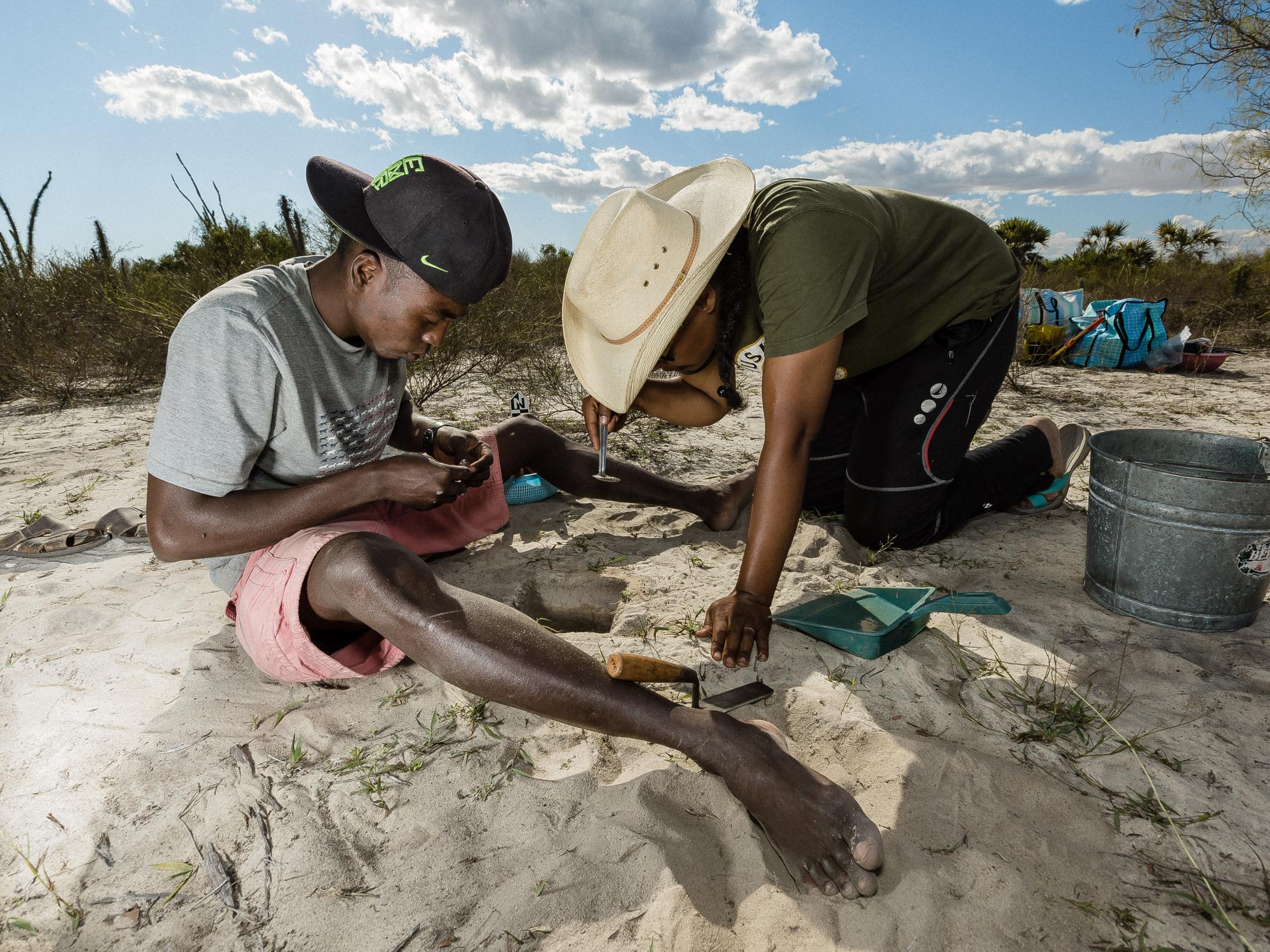 Two researchers dig a small pit in sand 