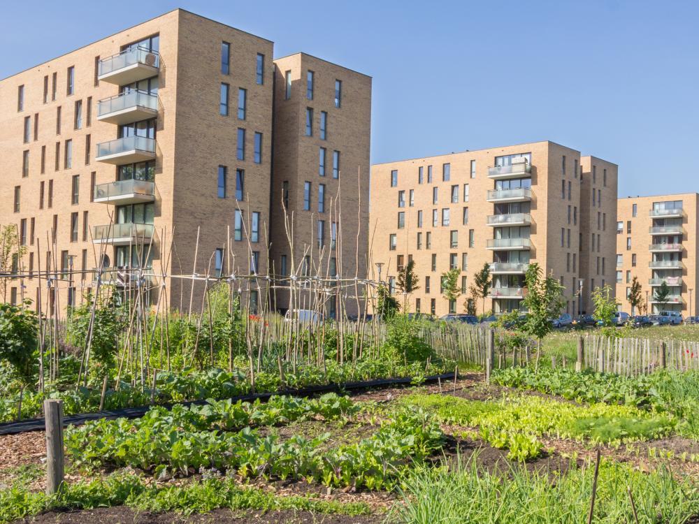 crops, apartments