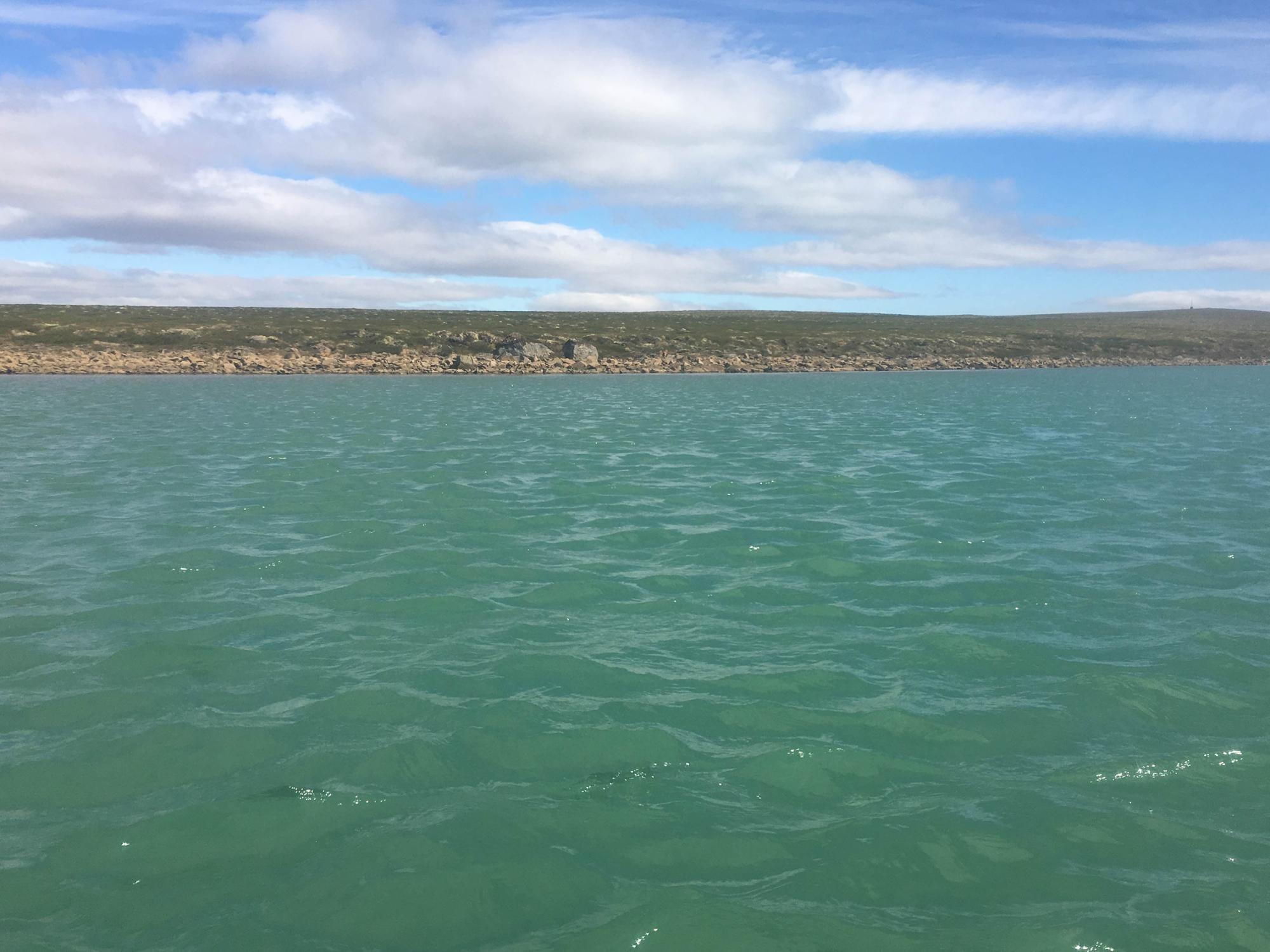 cloudy water