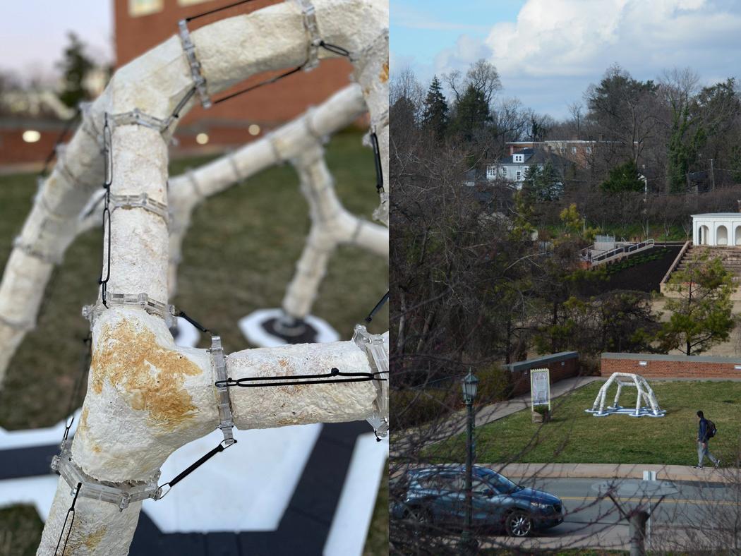 A closeup of a white architectural structure showing the mycelium composites on the left and a view of the structure from afar,.