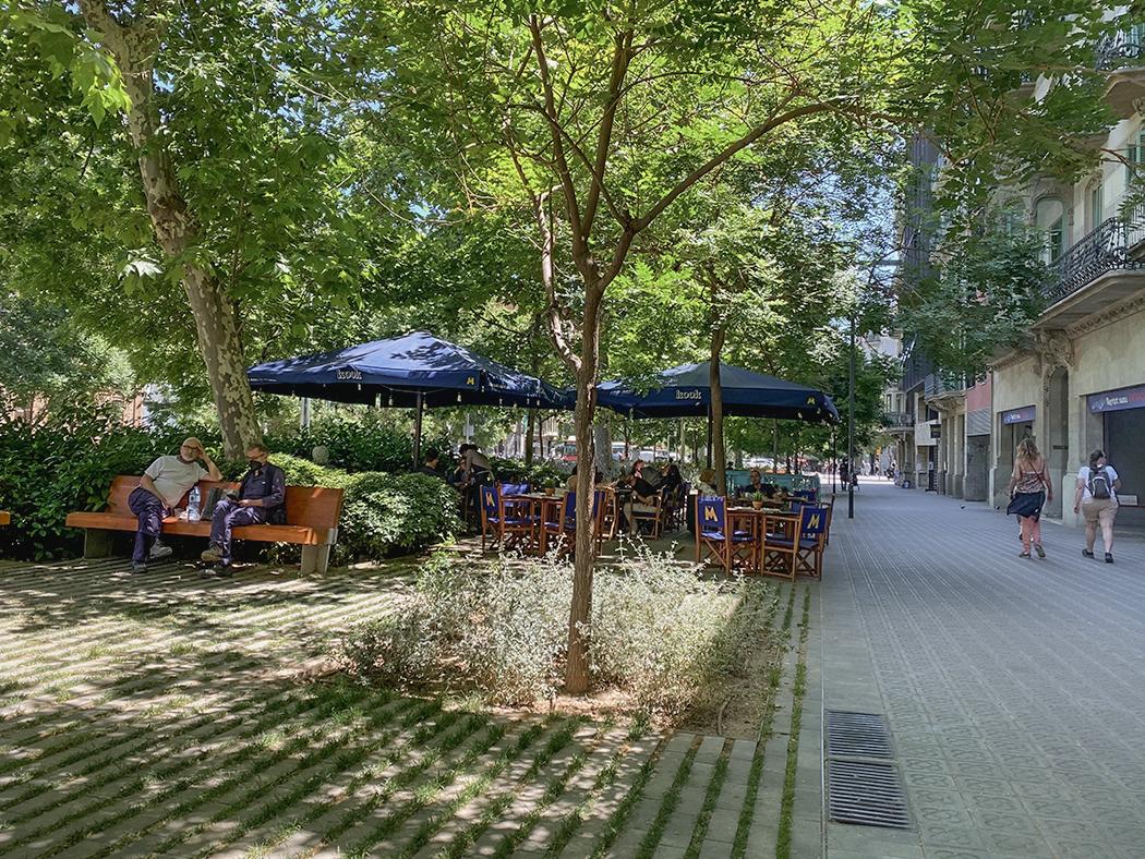 An image of a street in Barcelona, Spain, with a man sitting on a bench under a canopy trees while pedestrians pass by on the right.