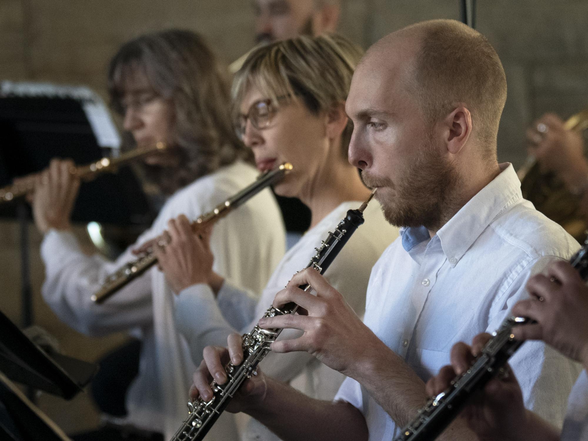 chamber orchestra musicians 