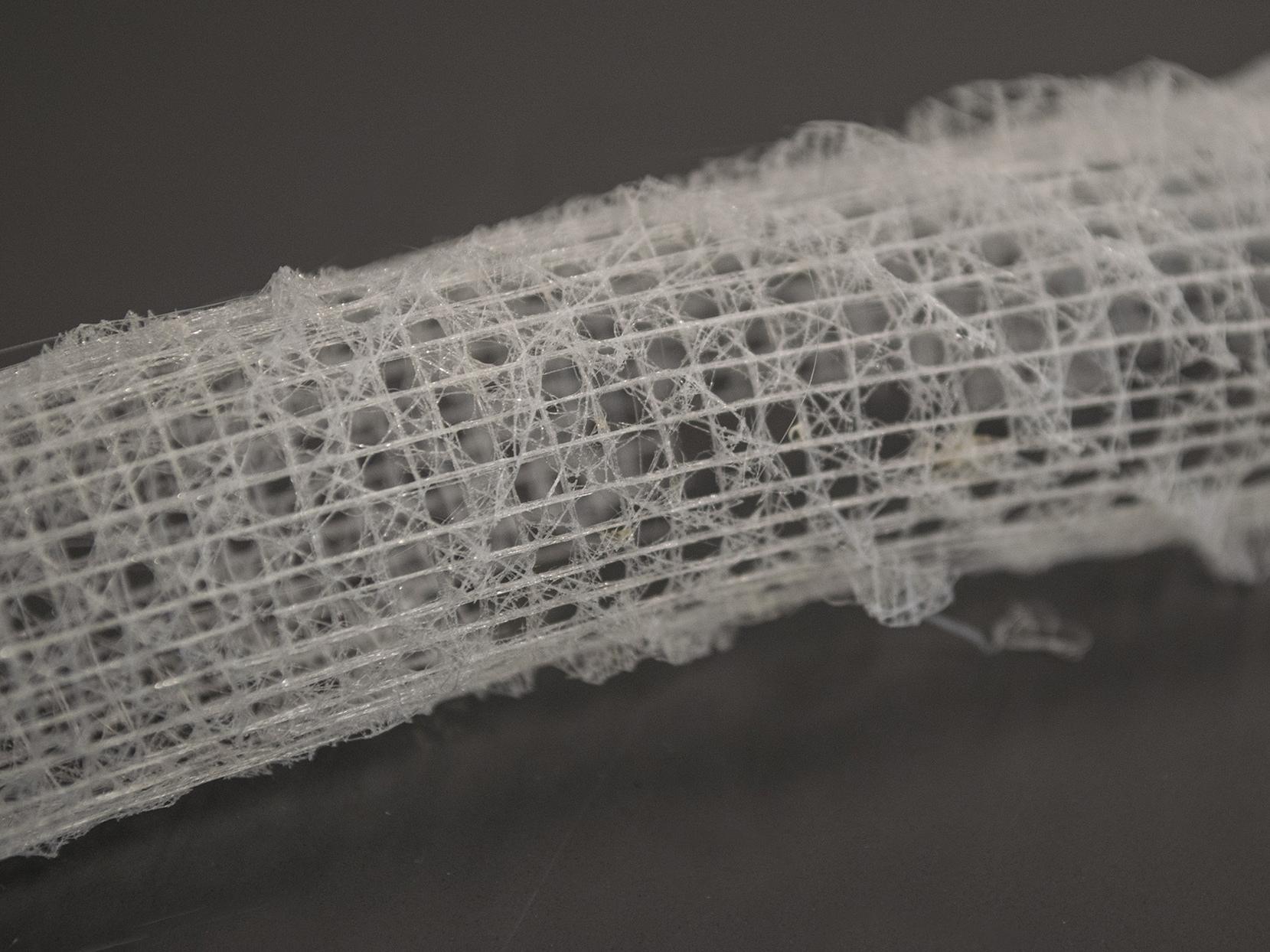 marine sponge spicule