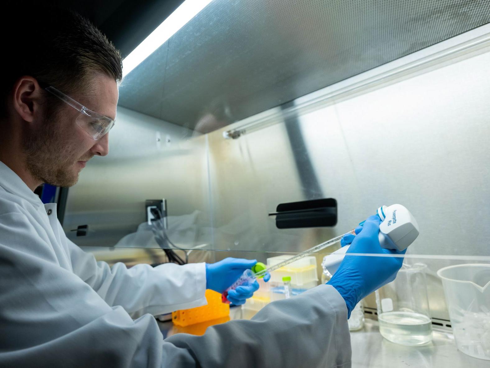 Adam Boaks, a student at Penn State Behrend, works in the college's new Biomedical Translational Research Lab.