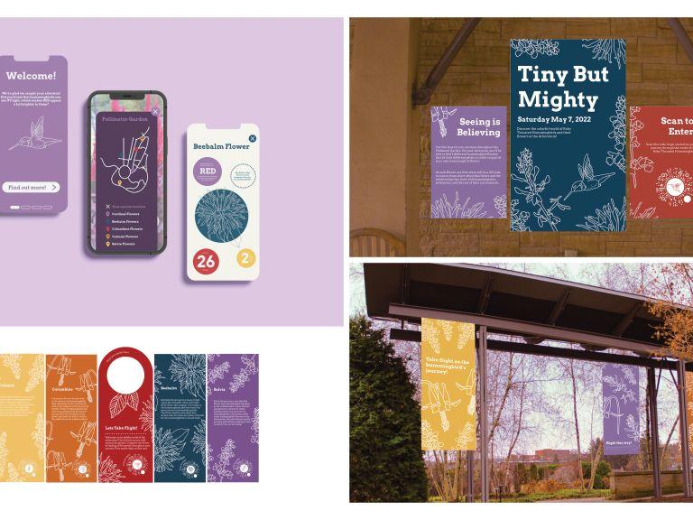 Educational posters to teach arboretum visitors about hummingbirds 