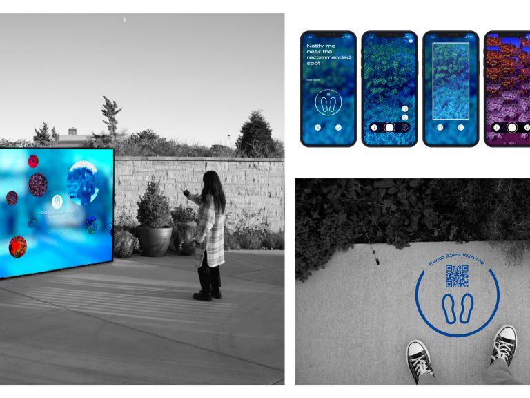 An interactive display and augmented reality game that teaches about the ways pollinators see the world
