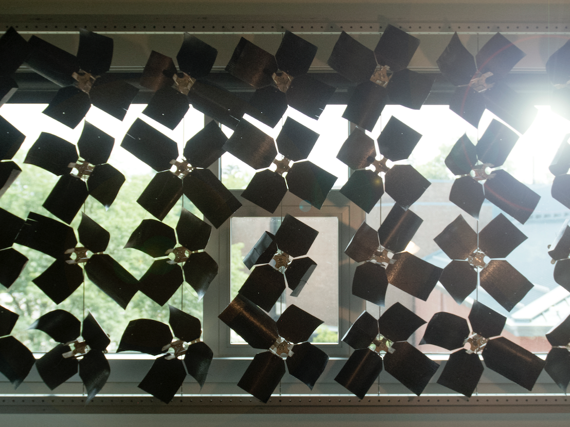 Image showcasing Designed to Adapt: Living materials are the future of sustainable ...