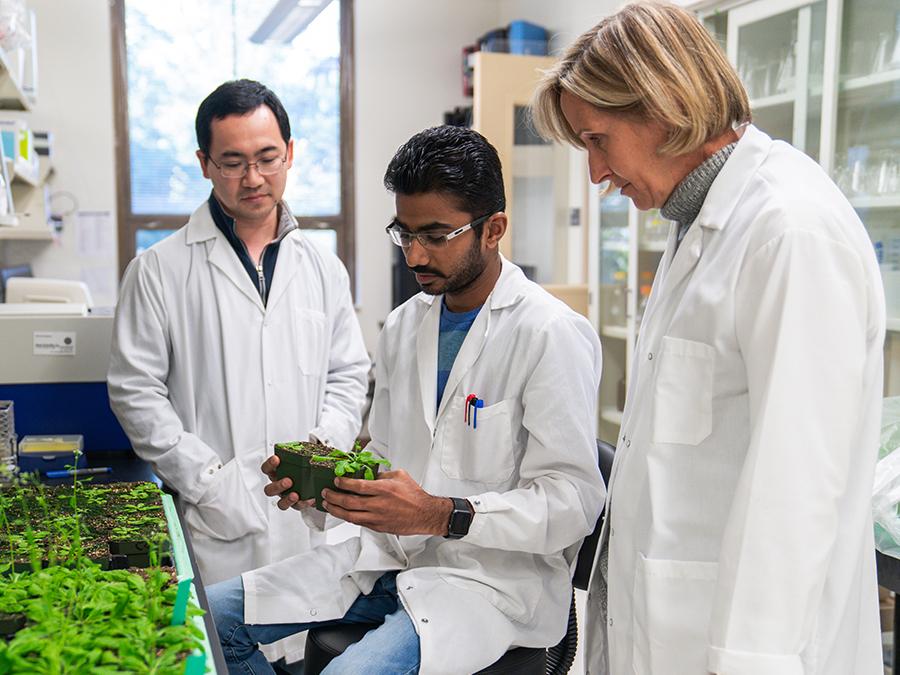 research group