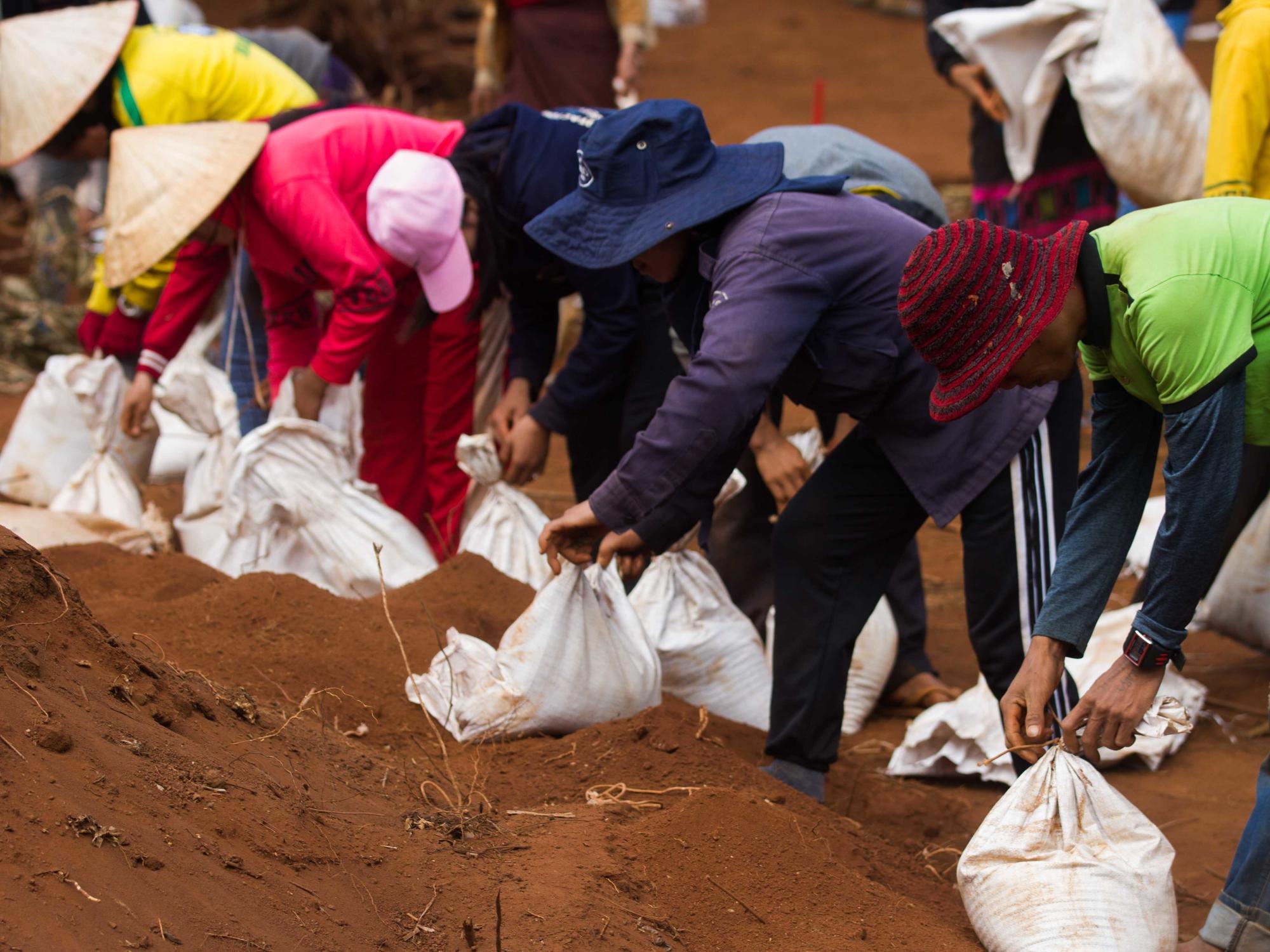 A group of people fill bags with excavated soil.
