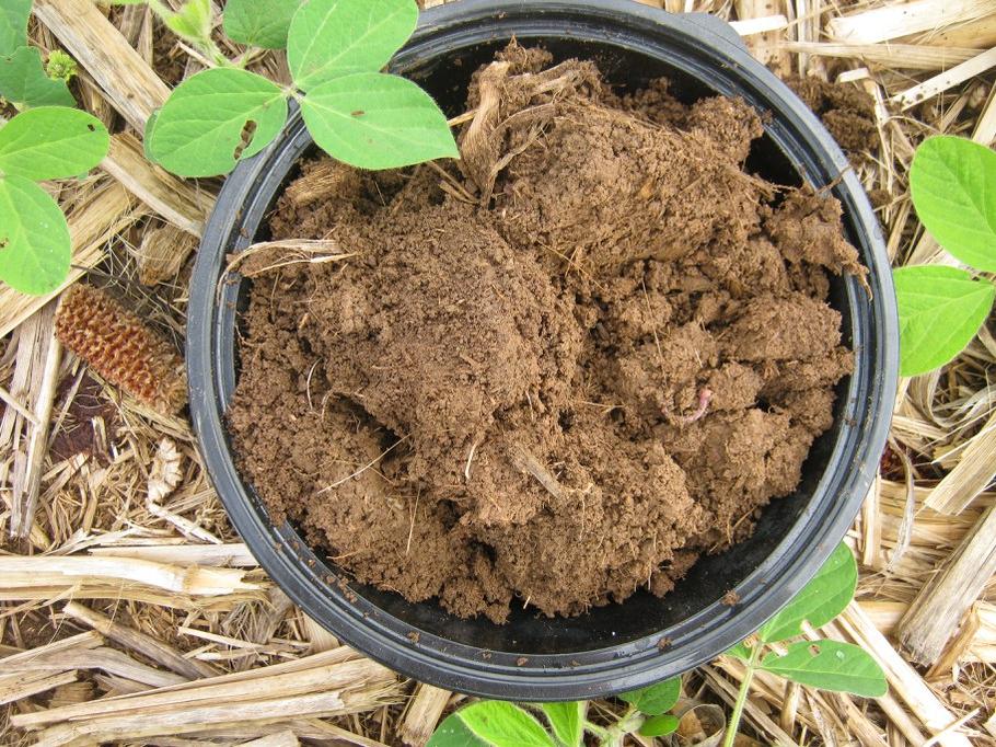rich soil