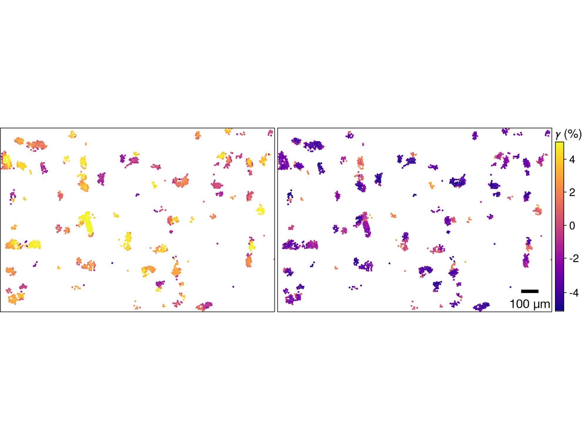 two diagrams of particle locations with different colors