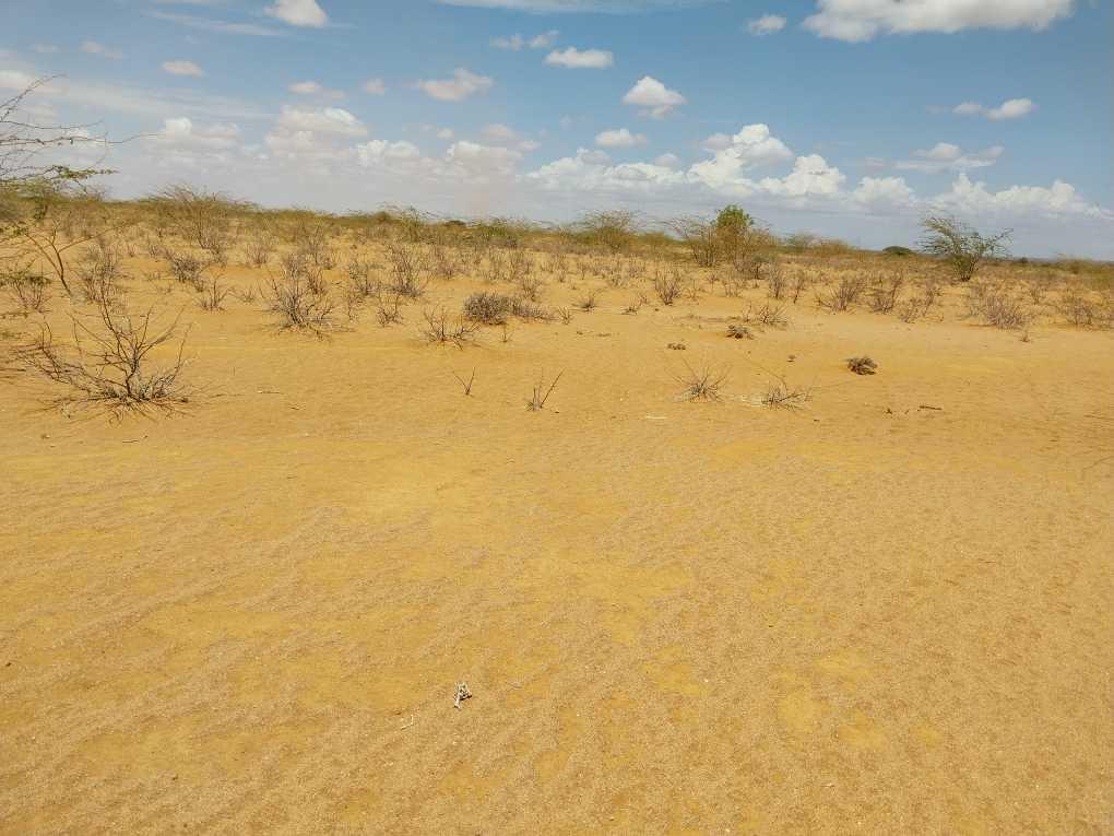 Pictures that the Moran see at the ground level which will allow us to take a health check of the land and the plants it supports.