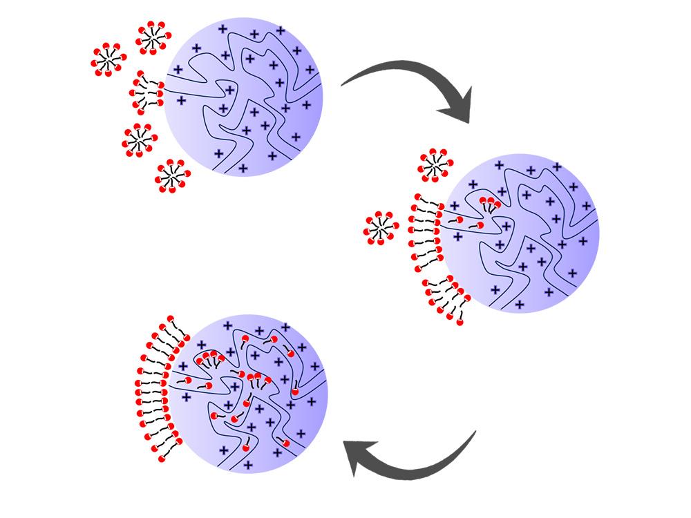 Three purple circles with black arrows 