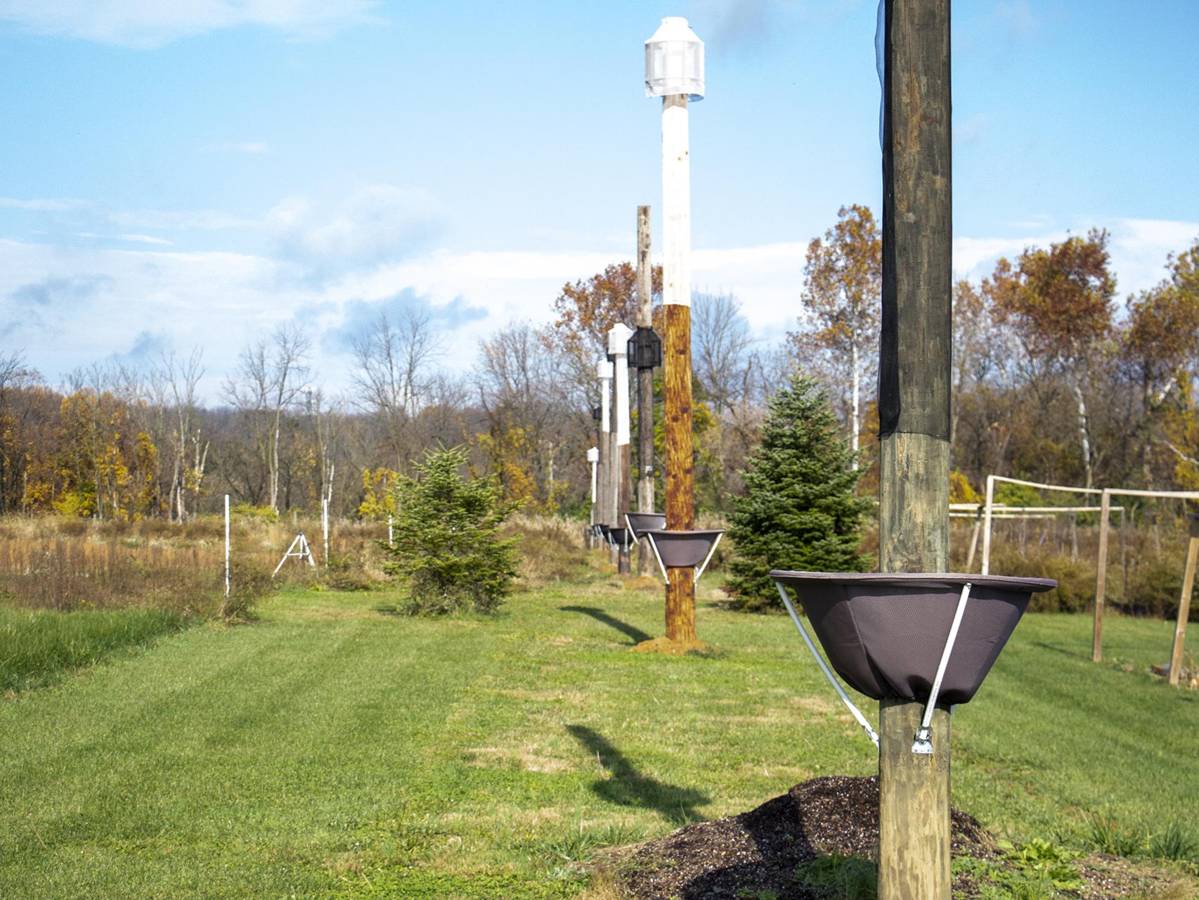 Telephone poles with SLF traps