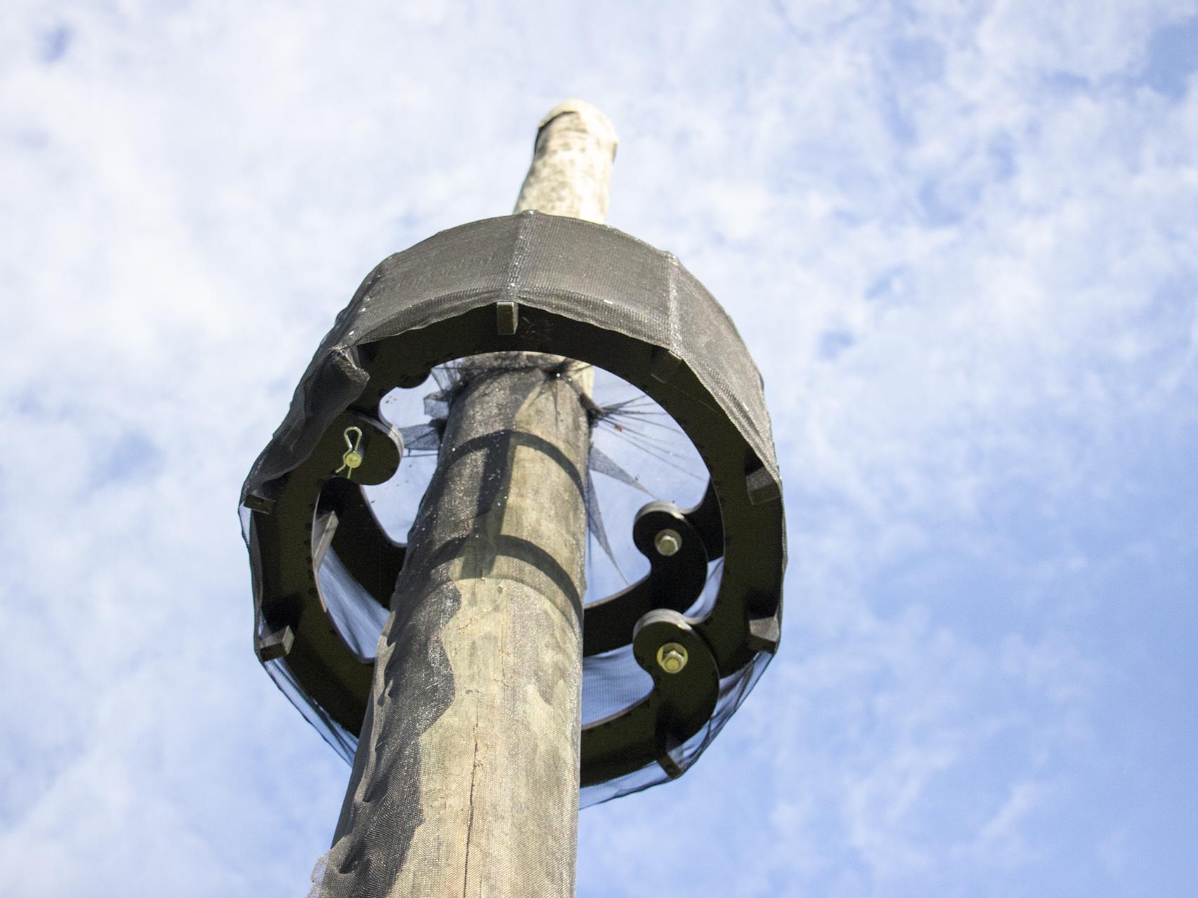 Top traps on telephone poles